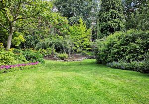 Optimiser l'expérience du jardin à Luceau
